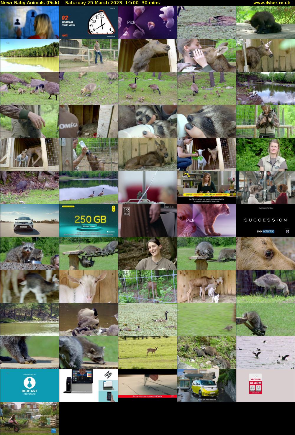 Baby Animals (Pick) Saturday 25 March 2023 14:00 - 14:30