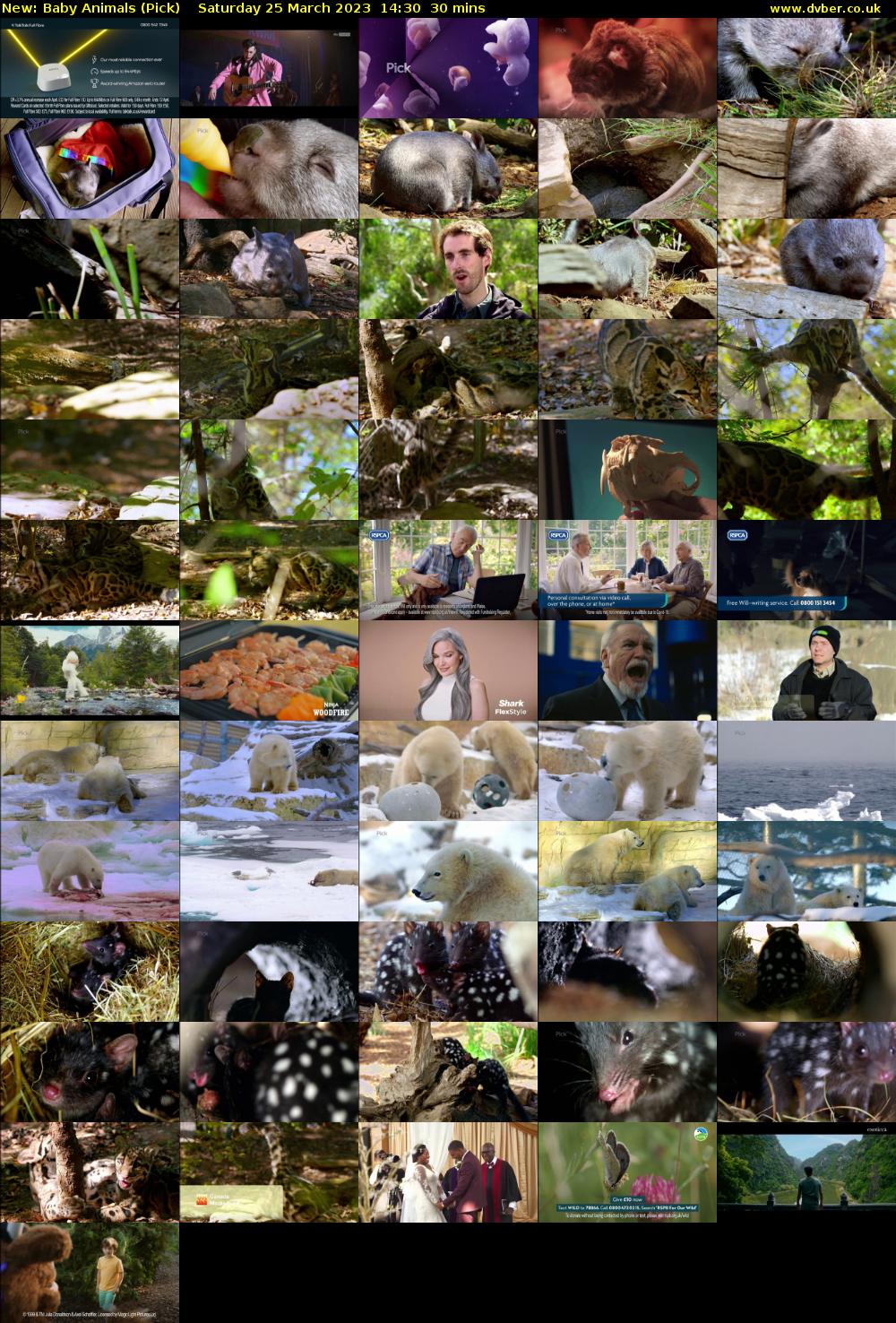Baby Animals (Pick) Saturday 25 March 2023 14:30 - 15:00