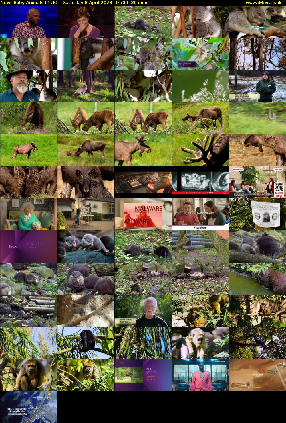 Baby Animals (Pick) Saturday 8 April 2023 14:00 - 14:30