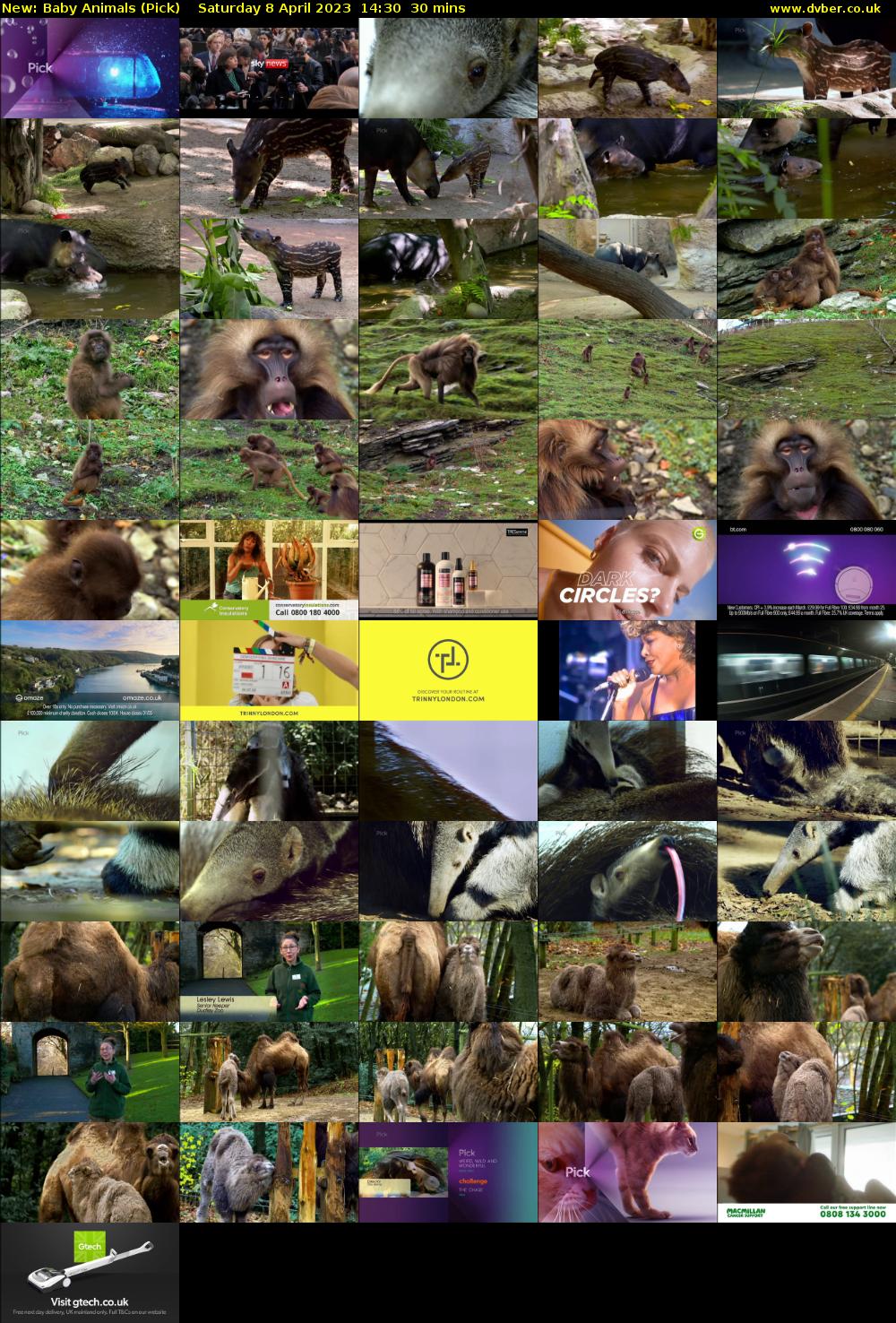 Baby Animals (Pick) Saturday 8 April 2023 14:30 - 15:00