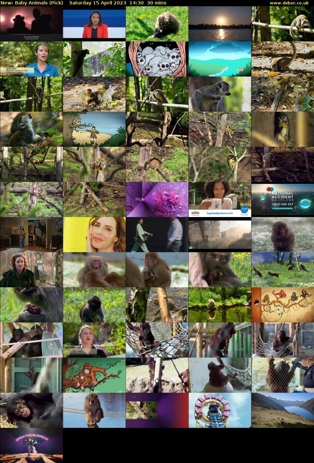 Baby Animals (Pick) Saturday 15 April 2023 14:30 - 15:00