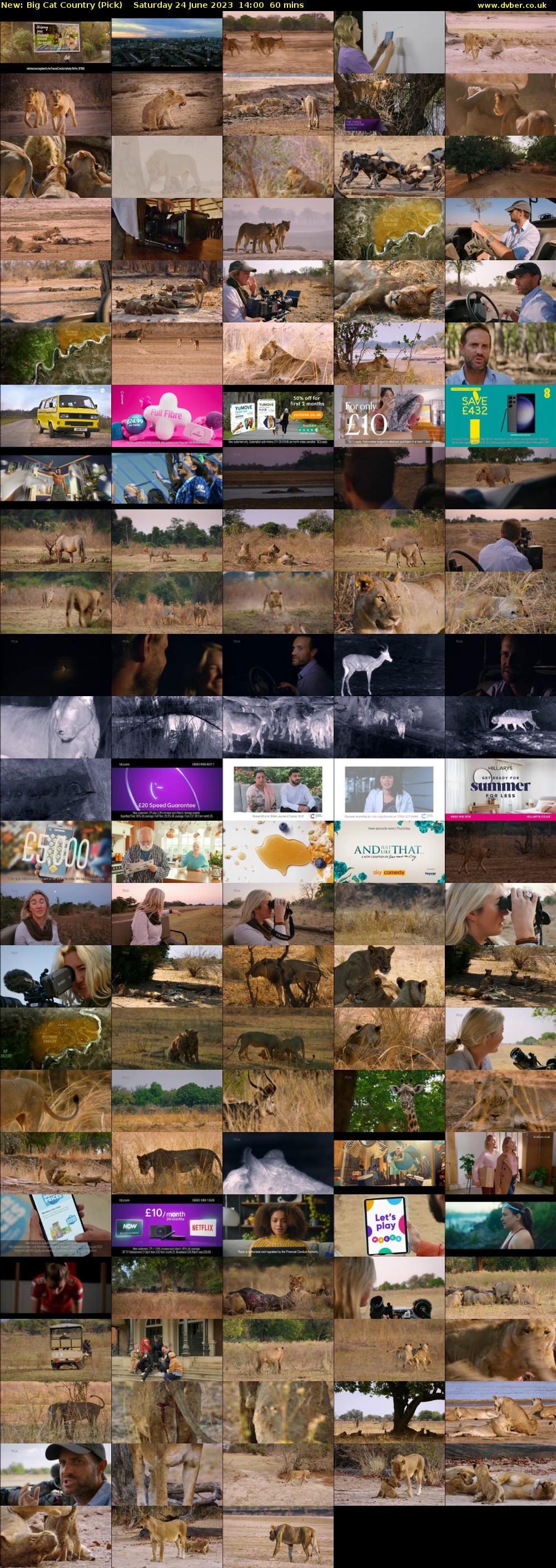 Big Cat Country (Pick) Saturday 24 June 2023 14:00 - 15:00