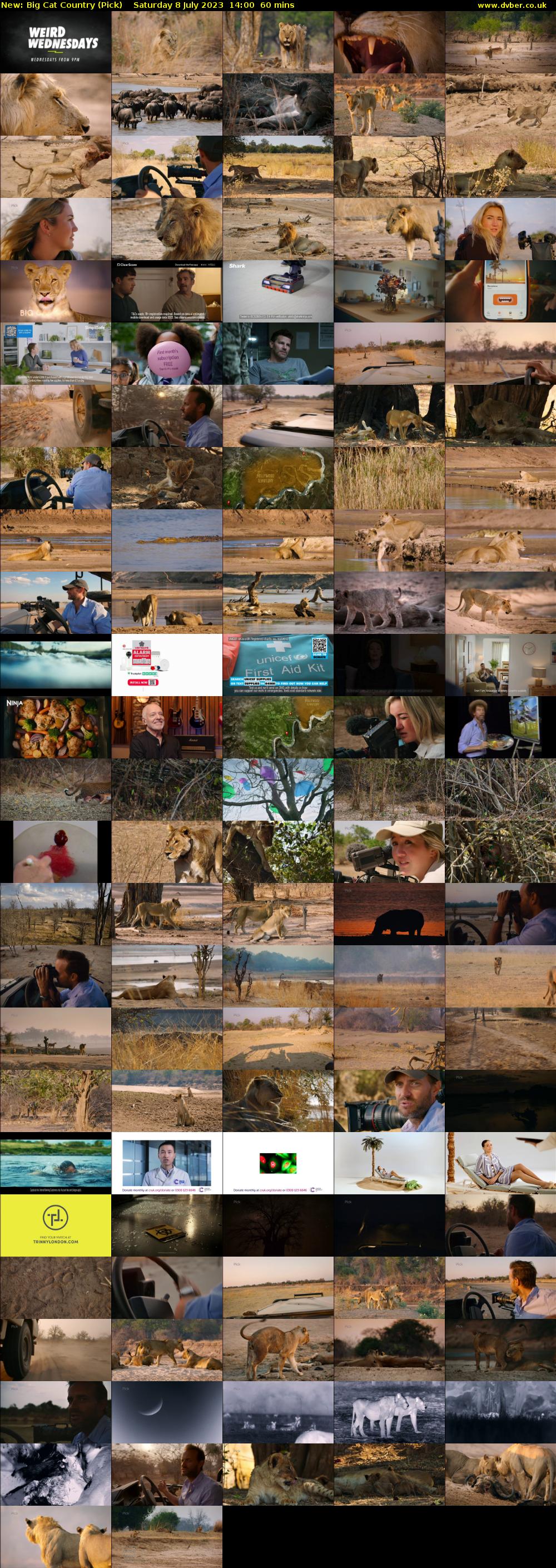 Big Cat Country (Pick) Saturday 8 July 2023 14:00 - 15:00