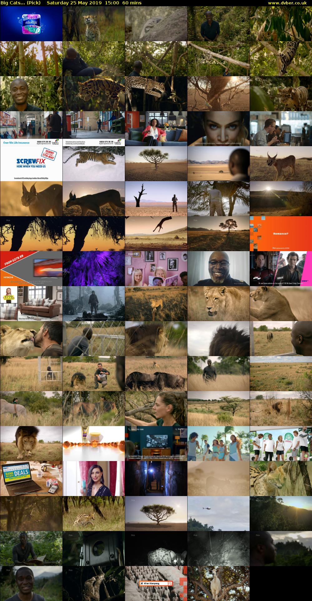 Big Cats... (Pick) Saturday 25 May 2019 15:00 - 16:00