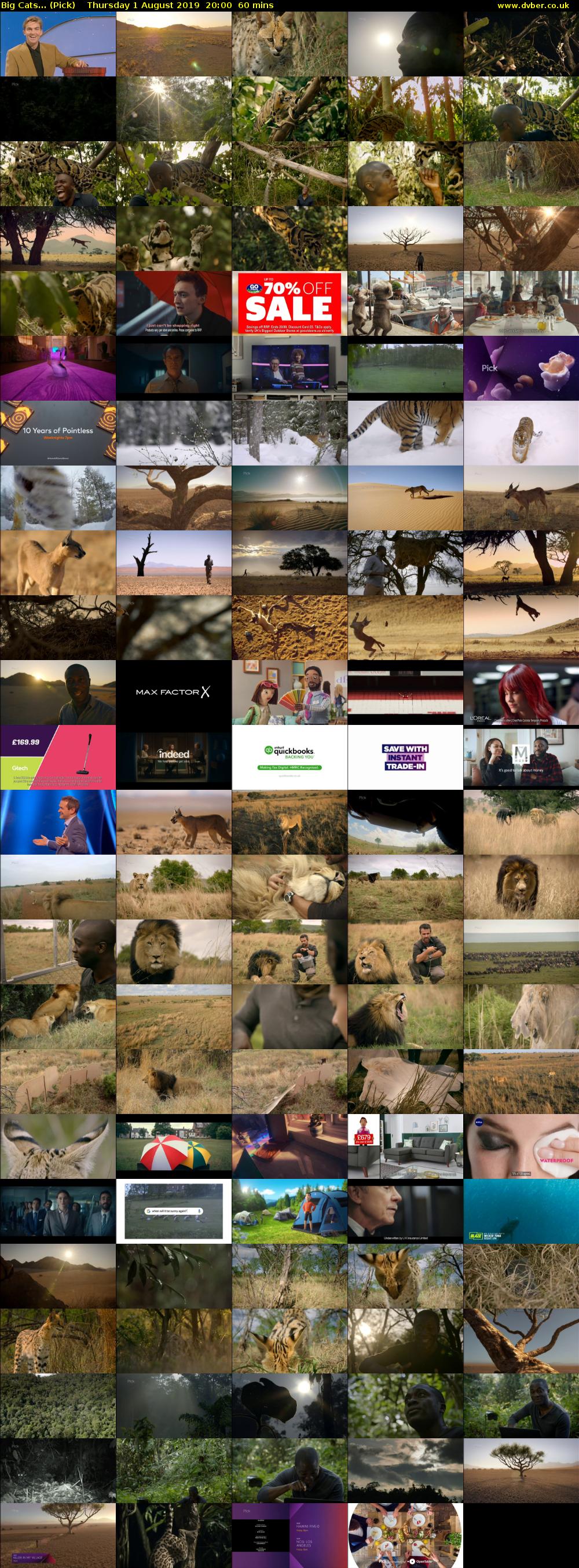 Big Cats... (Pick) Thursday 1 August 2019 20:00 - 21:00