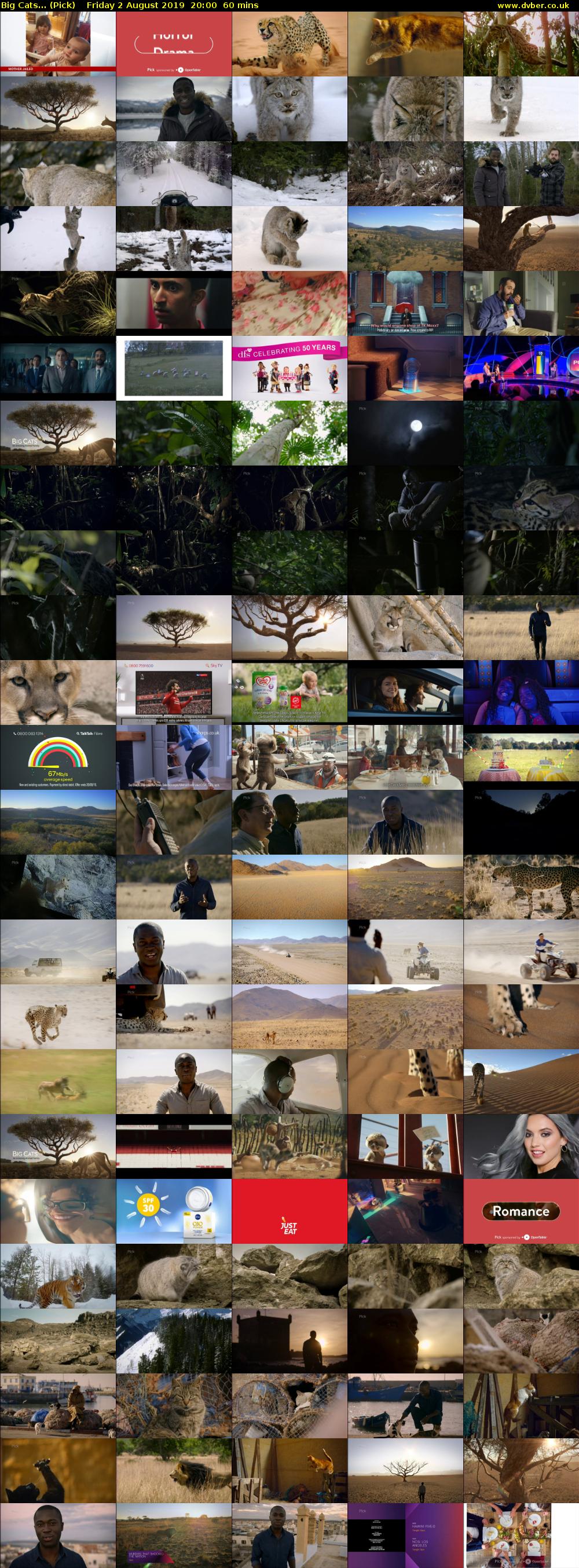 Big Cats... (Pick) Friday 2 August 2019 20:00 - 21:00