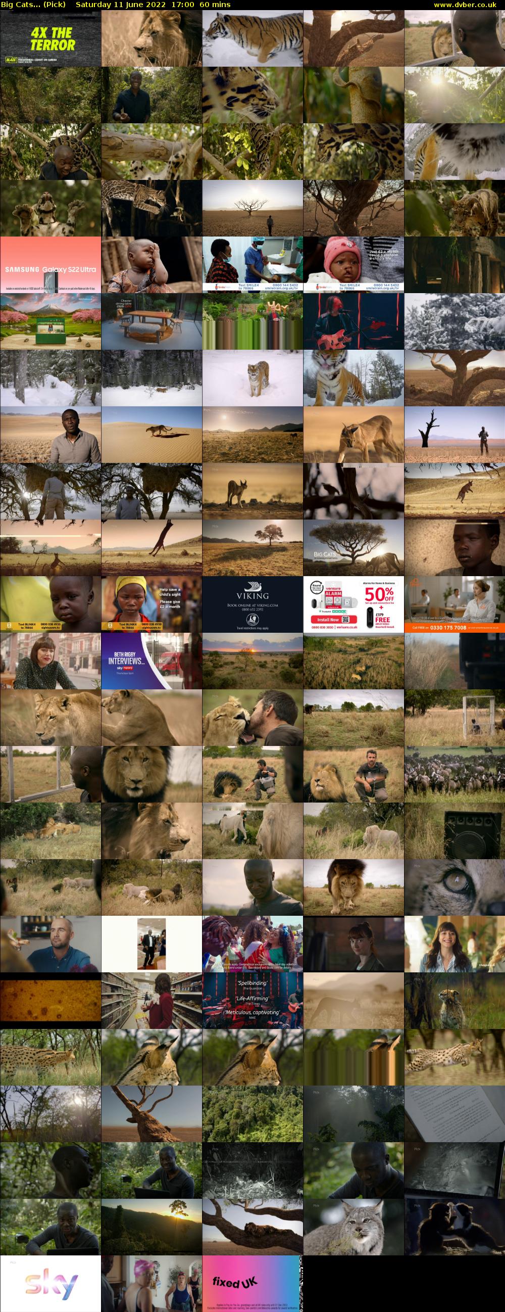 Big Cats... (Pick) Saturday 11 June 2022 17:00 - 18:00