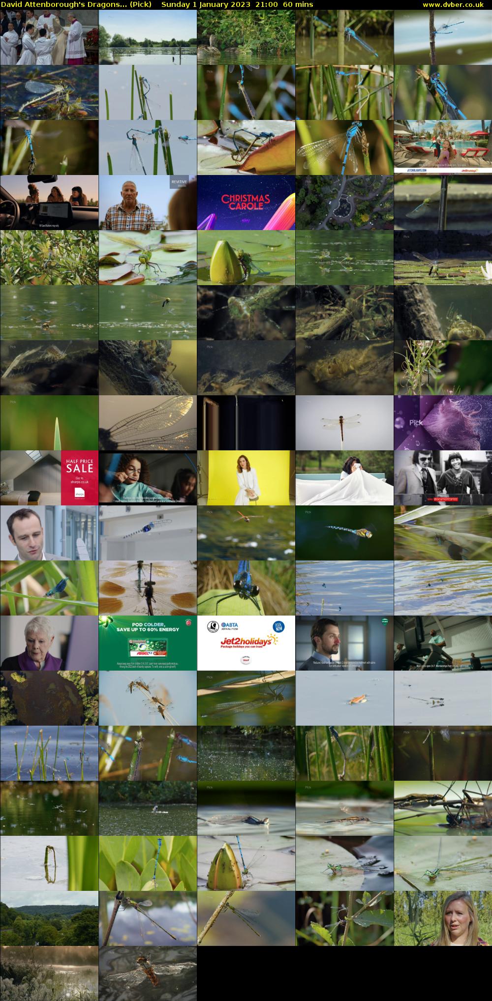David Attenborough's Dragons... (Pick) Sunday 1 January 2023 21:00 - 22:00