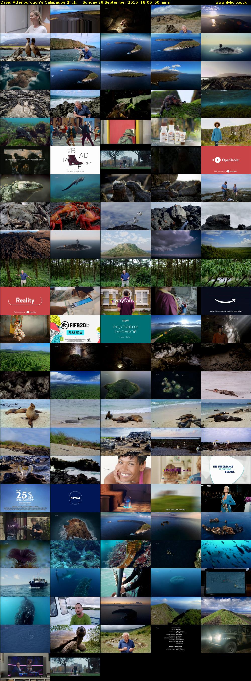 David Attenborough's Galapagos (Pick) Sunday 29 September 2019 18:00 - 19:00
