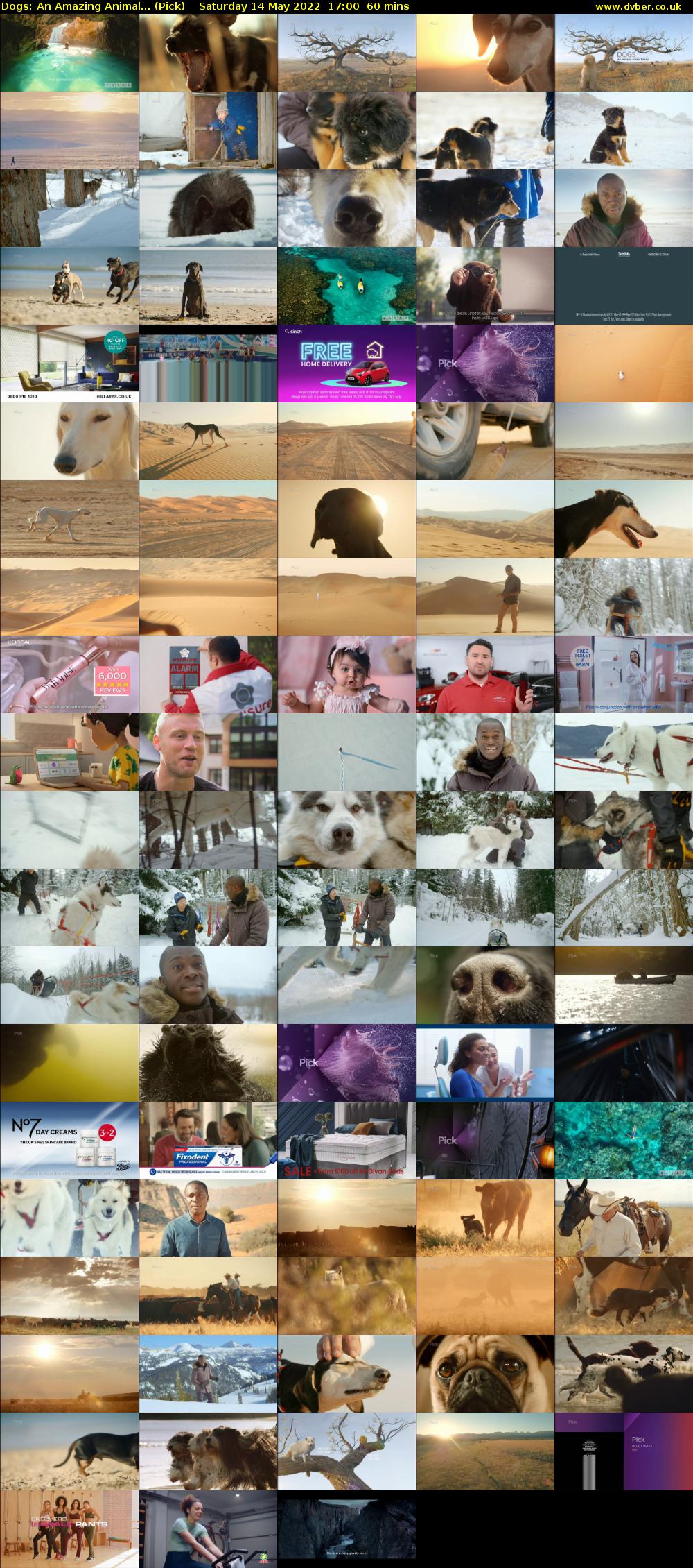 Dogs: An Amazing Animal... (Pick) Saturday 14 May 2022 17:00 - 18:00
