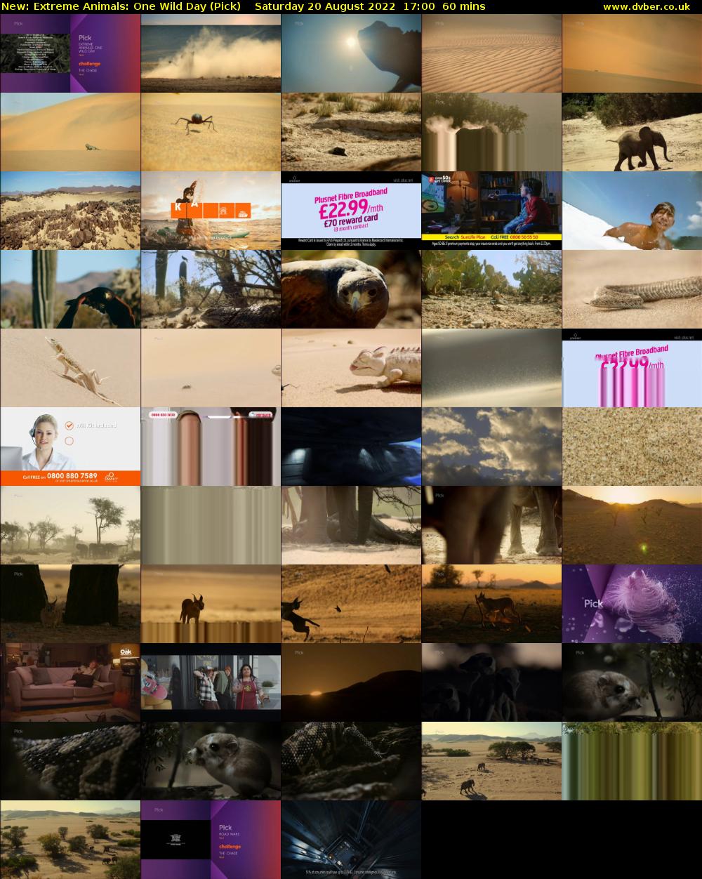 Extreme Animals: One Wild Day (Pick) Saturday 20 August 2022 17:00 - 18:00