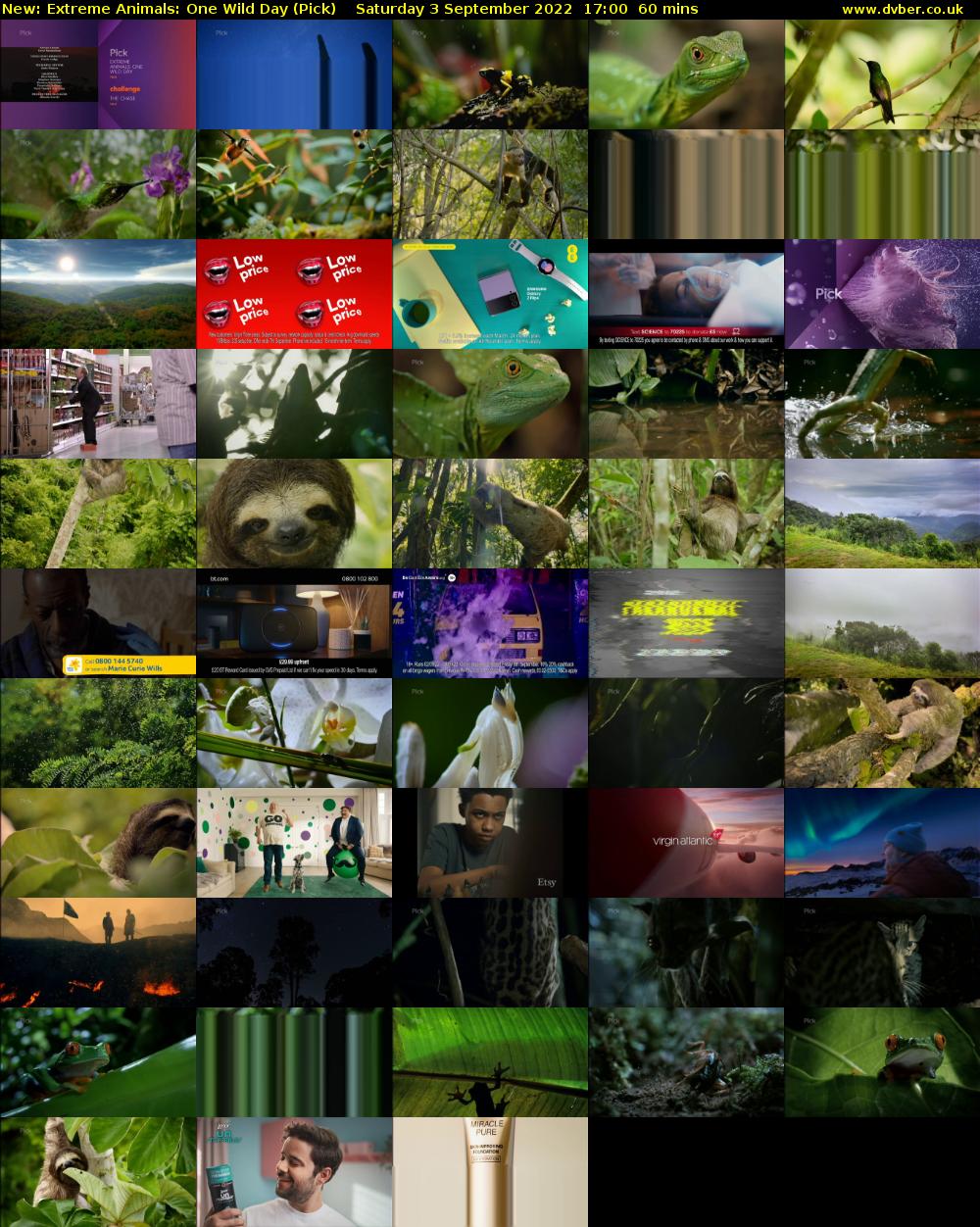 Extreme Animals: One Wild Day (Pick) Saturday 3 September 2022 17:00 - 18:00