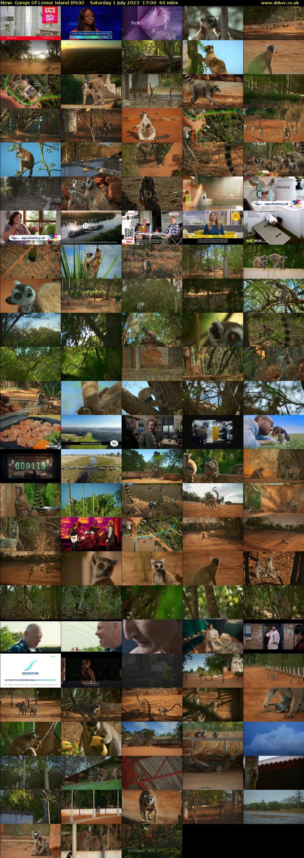 Gangs Of Lemur Island (Pick) Saturday 1 July 2023 17:00 - 18:00