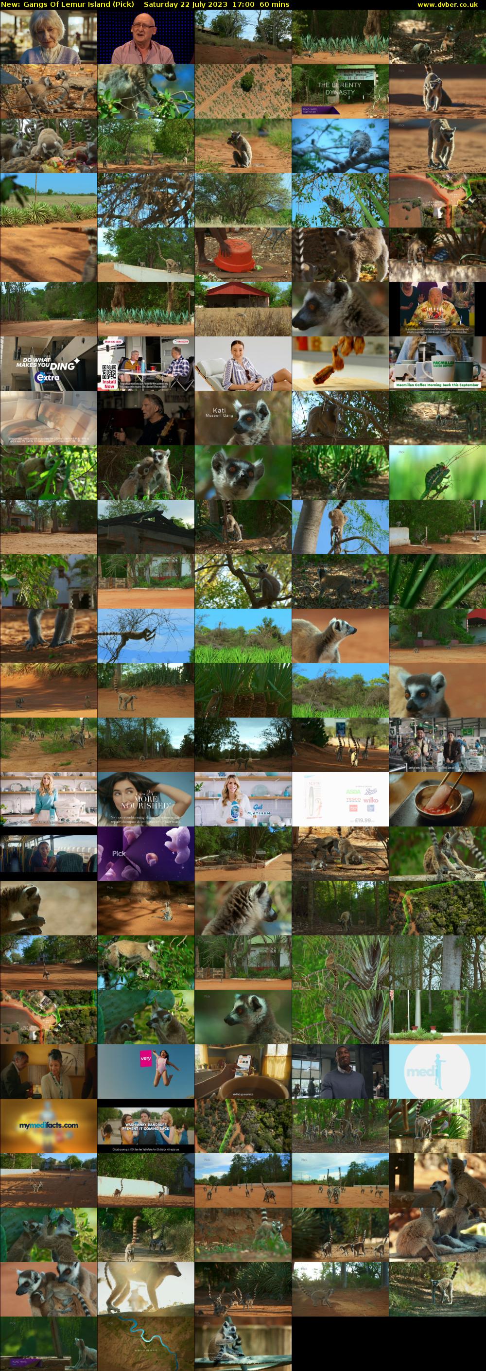 Gangs Of Lemur Island (Pick) Saturday 22 July 2023 17:00 - 18:00