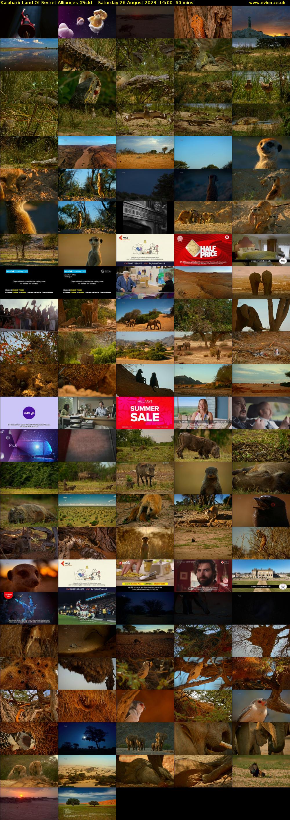 Kalahari: Land Of Secret Alliances (Pick) Saturday 26 August 2023 14:00 - 15:00