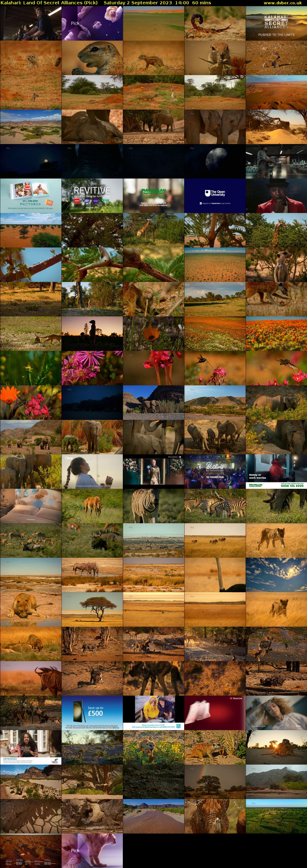 Kalahari: Land Of Secret Alliances (Pick) Saturday 2 September 2023 14:00 - 15:00