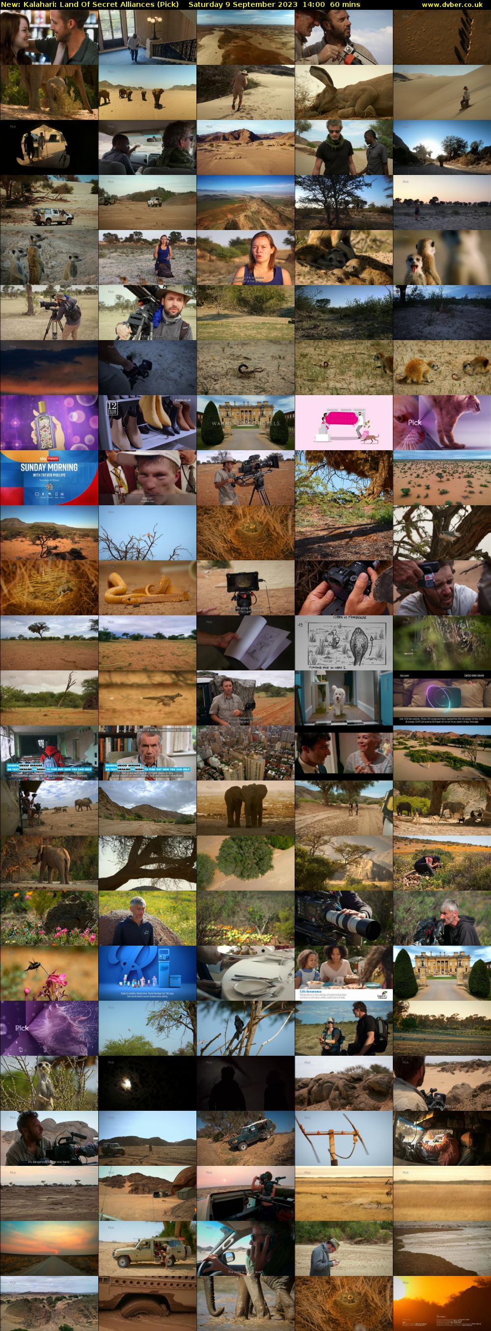 Kalahari: Land Of Secret Alliances (Pick) Saturday 9 September 2023 14:00 - 15:00