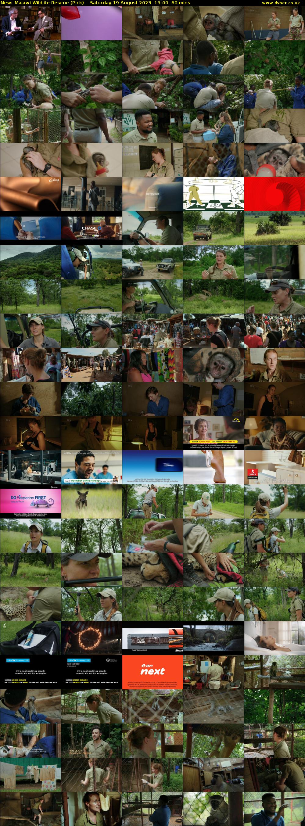 Malawi Wildlife Rescue (Pick) Saturday 19 August 2023 15:00 - 16:00