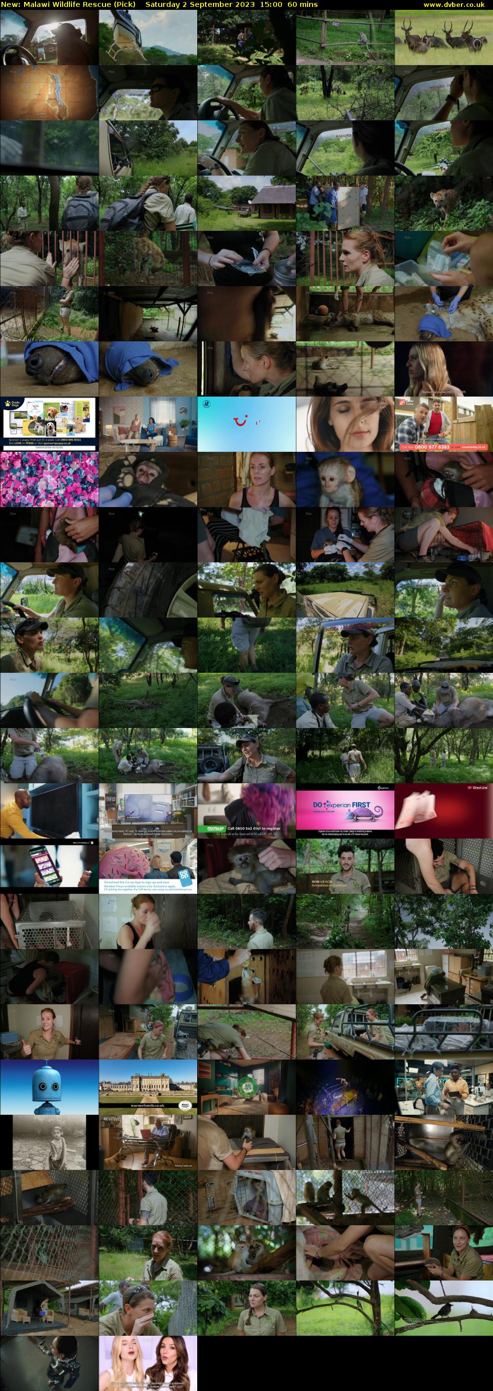 Malawi Wildlife Rescue (Pick) Saturday 2 September 2023 15:00 - 16:00