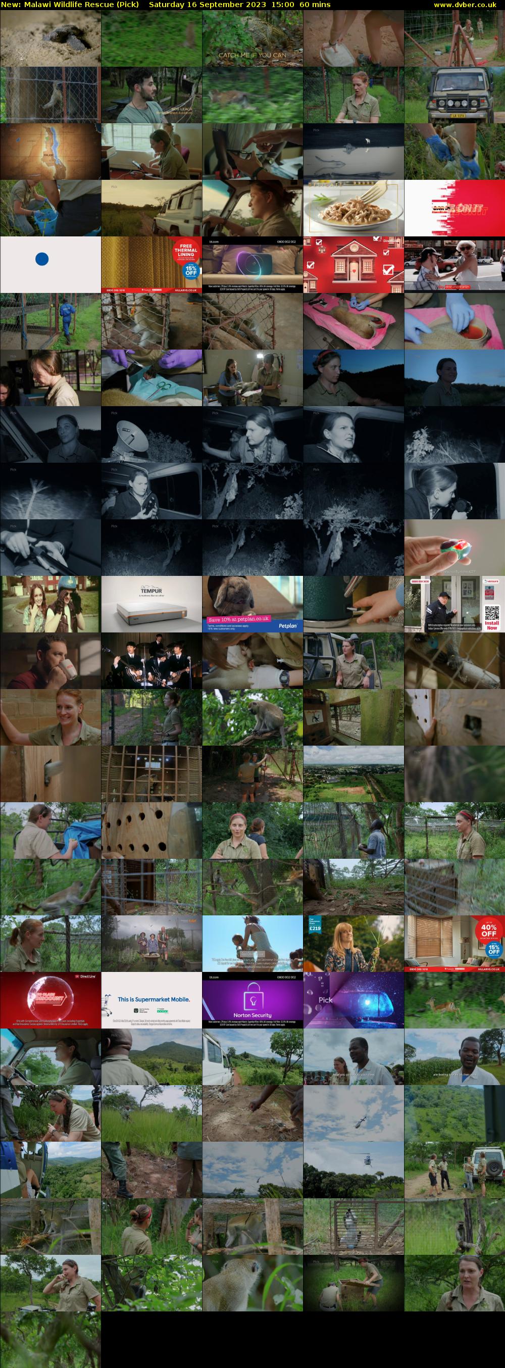 Malawi Wildlife Rescue (Pick) Saturday 16 September 2023 15:00 - 16:00