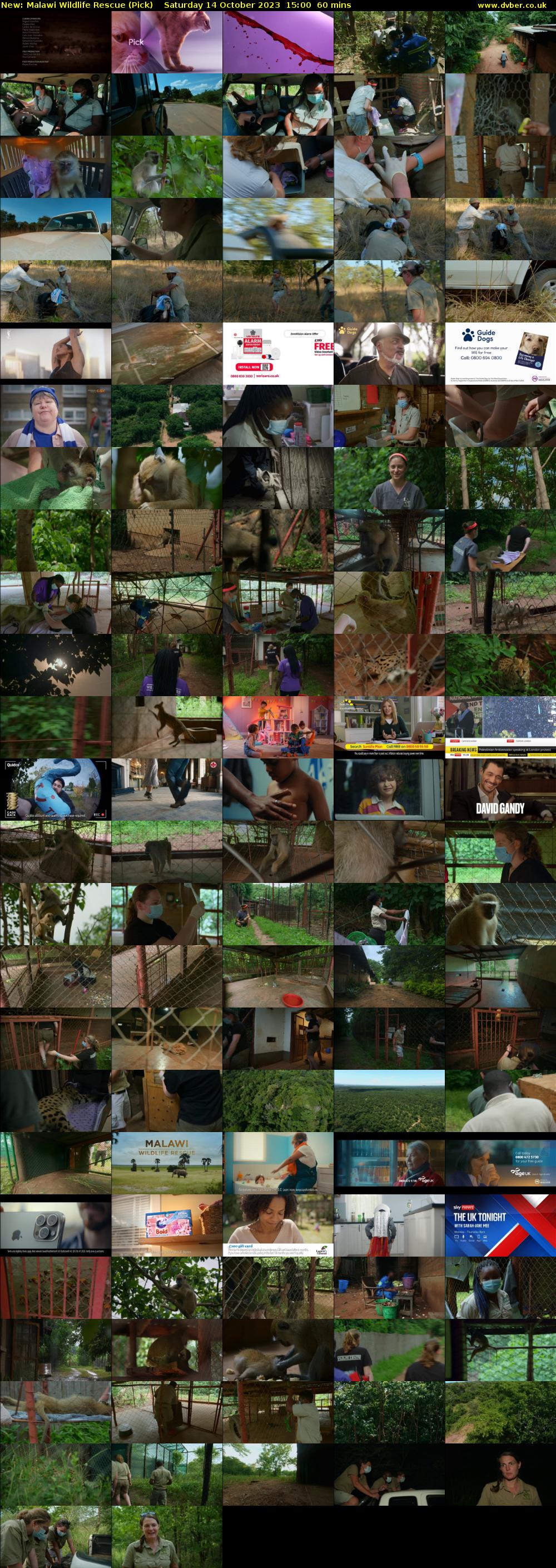 Malawi Wildlife Rescue (Pick) Saturday 14 October 2023 15:00 - 16:00