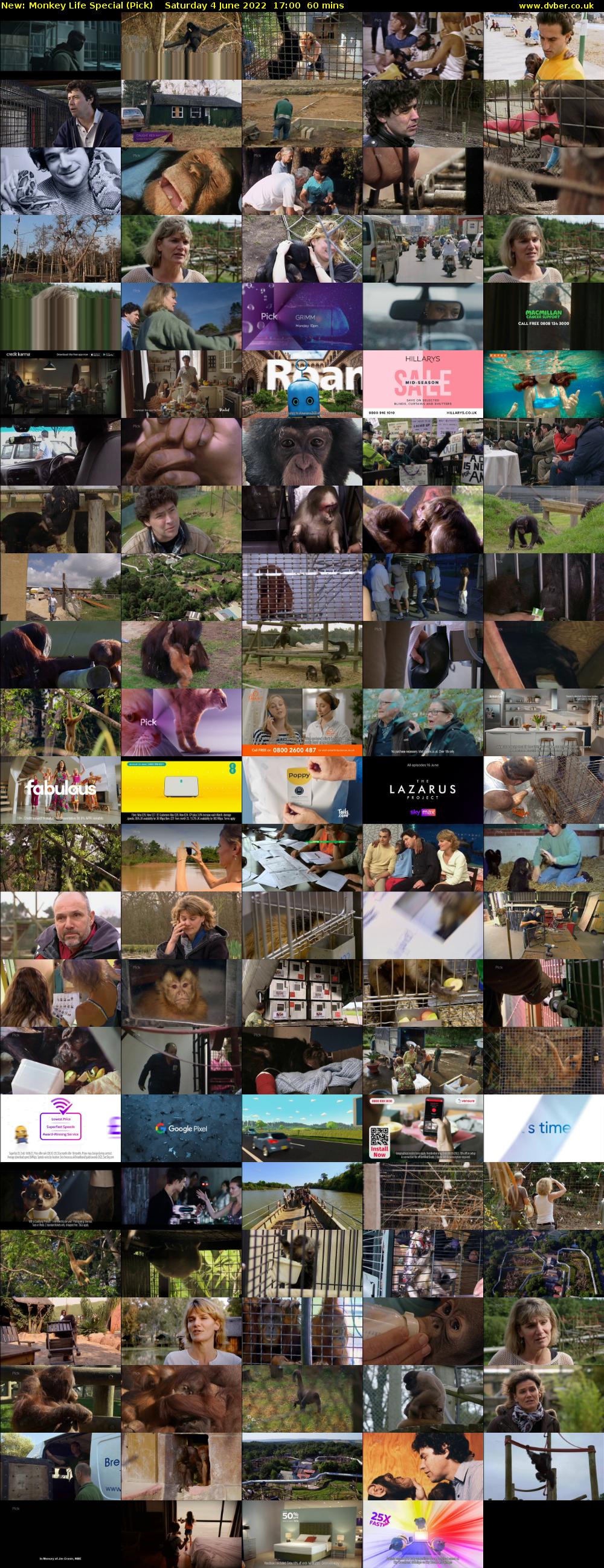 Monkey Life Special (Pick) Saturday 4 June 2022 17:00 - 18:00