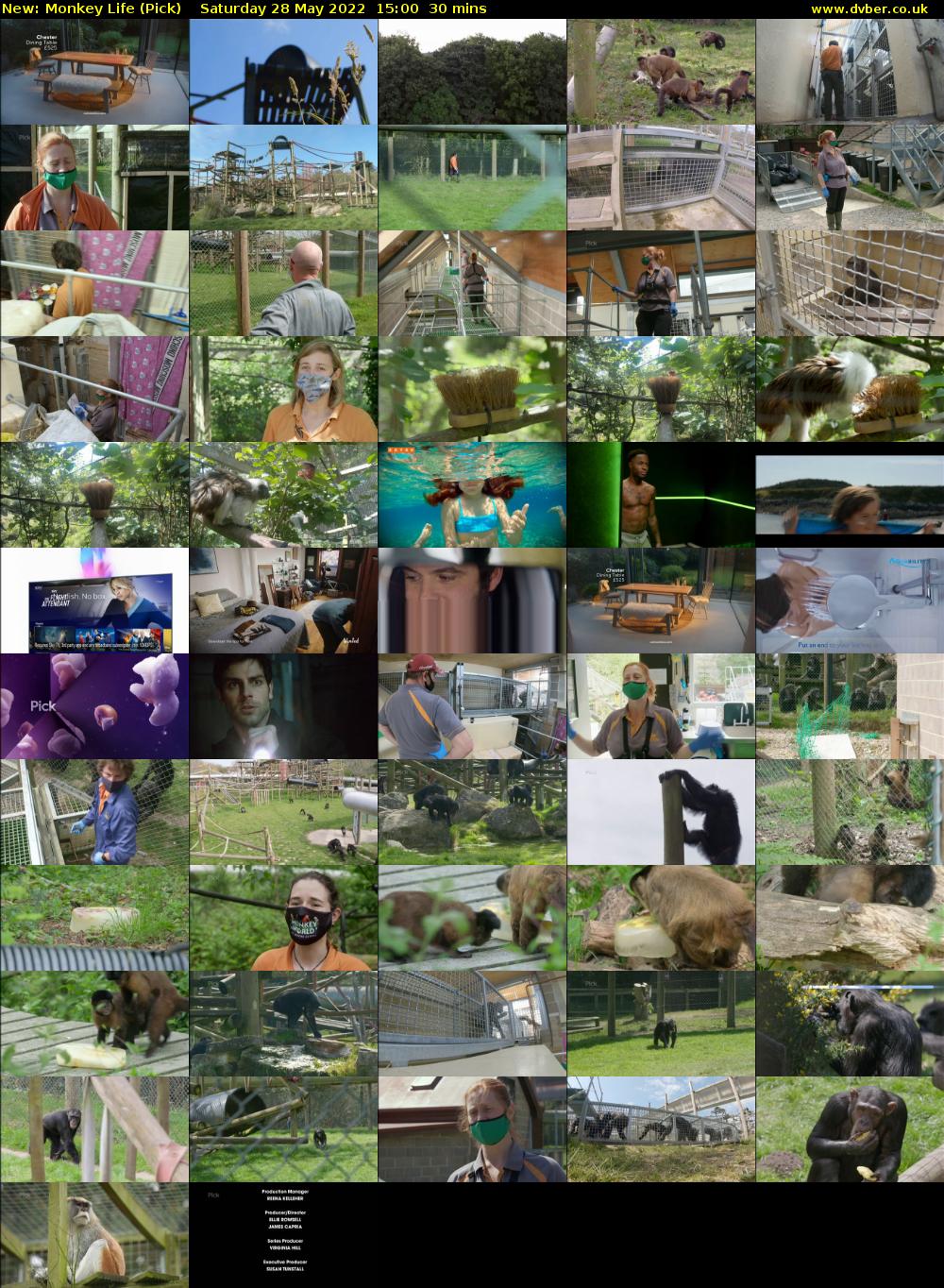 Monkey Life (Pick) Saturday 28 May 2022 15:00 - 15:30
