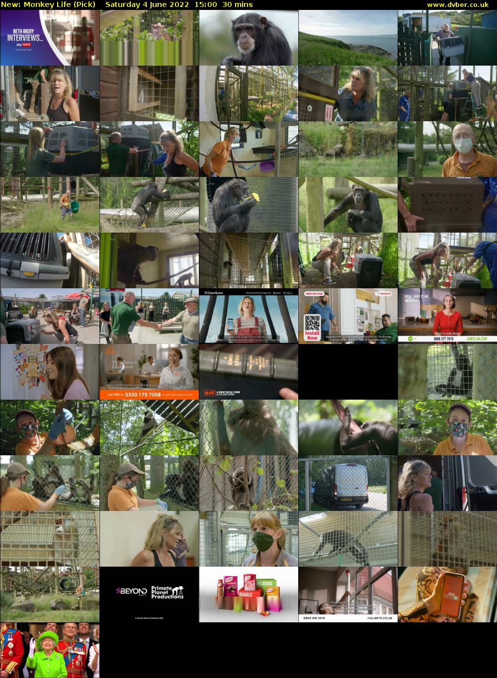 Monkey Life (Pick) Saturday 4 June 2022 15:00 - 15:30
