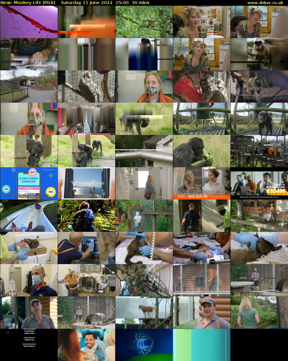 Monkey Life (Pick) Saturday 11 June 2022 15:00 - 15:30