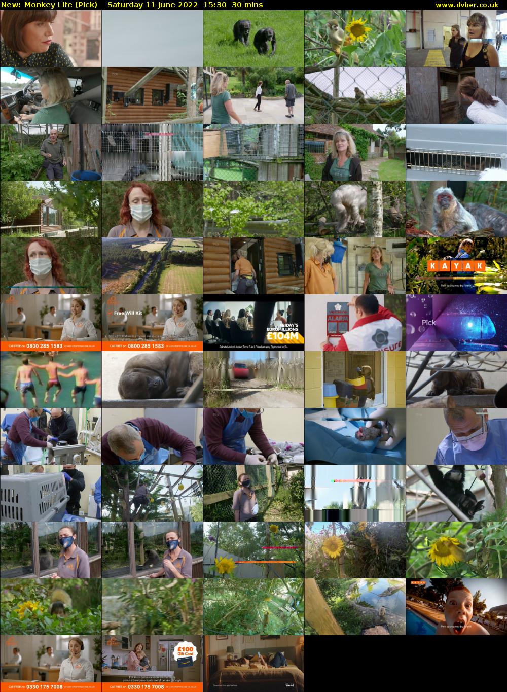 Monkey Life (Pick) Saturday 11 June 2022 15:30 - 16:00