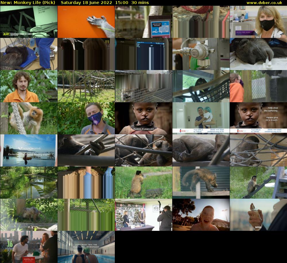 Monkey Life (Pick) Saturday 18 June 2022 15:00 - 15:30
