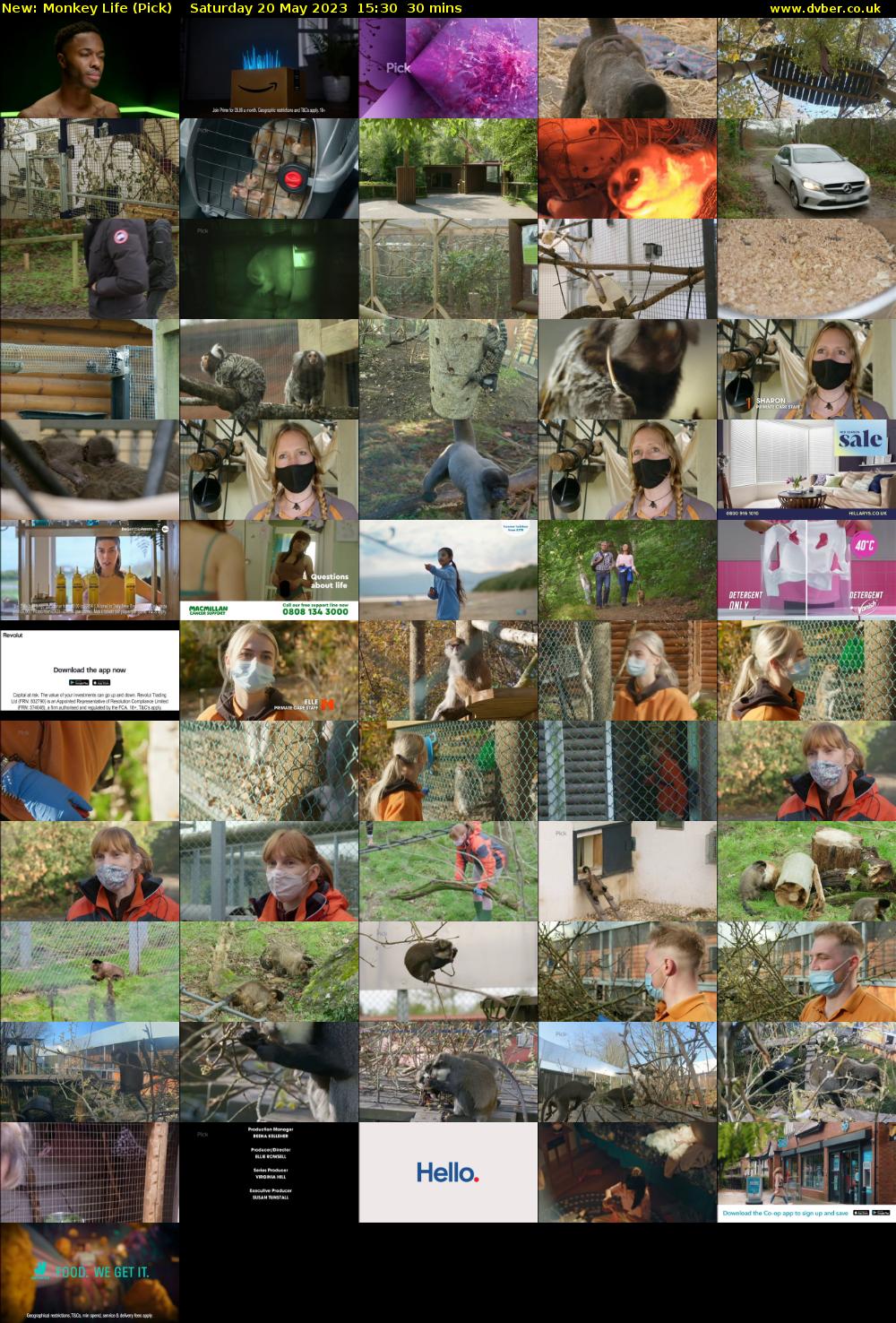 Monkey Life (Pick) Saturday 20 May 2023 15:30 - 16:00