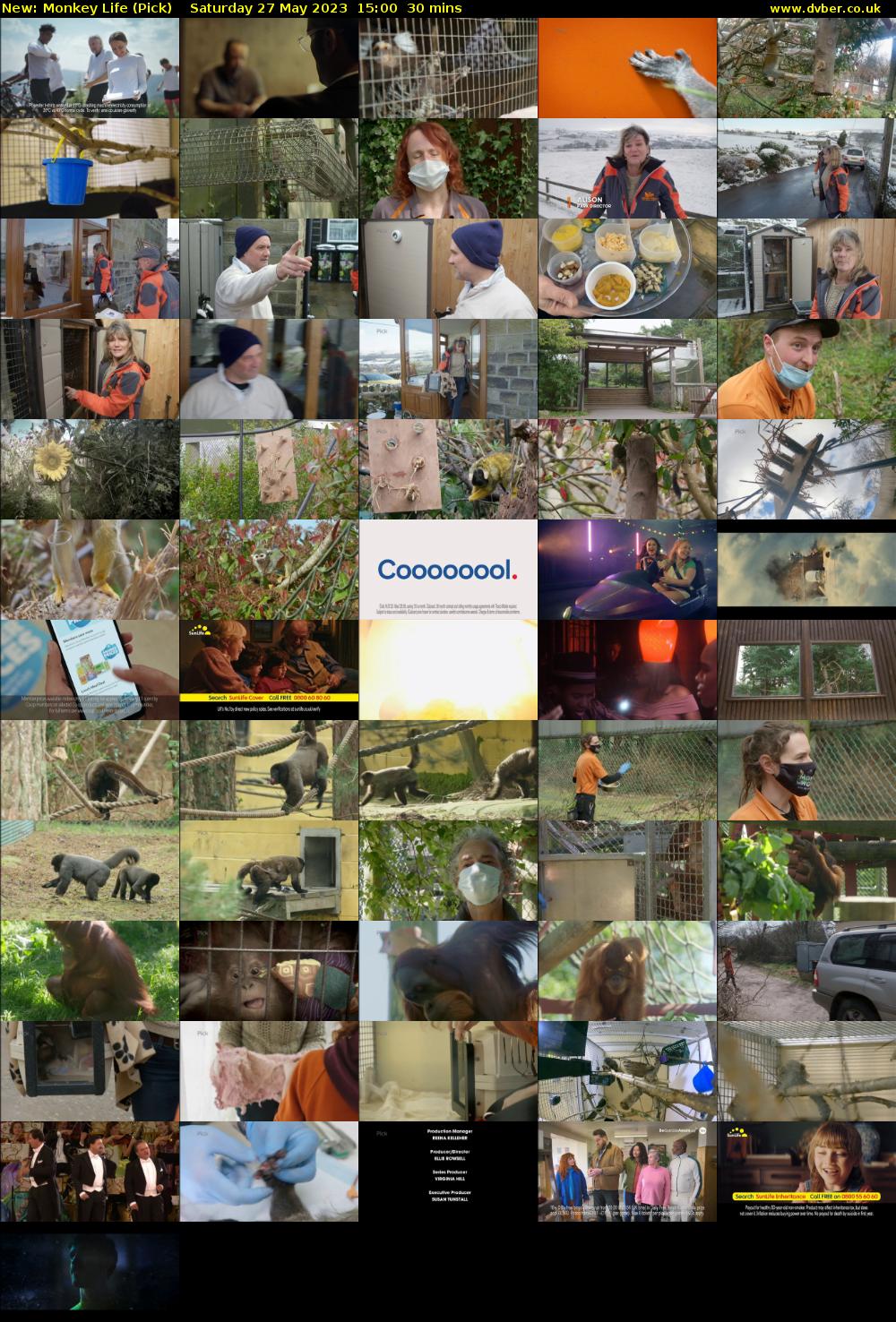 Monkey Life (Pick) Saturday 27 May 2023 15:00 - 15:30