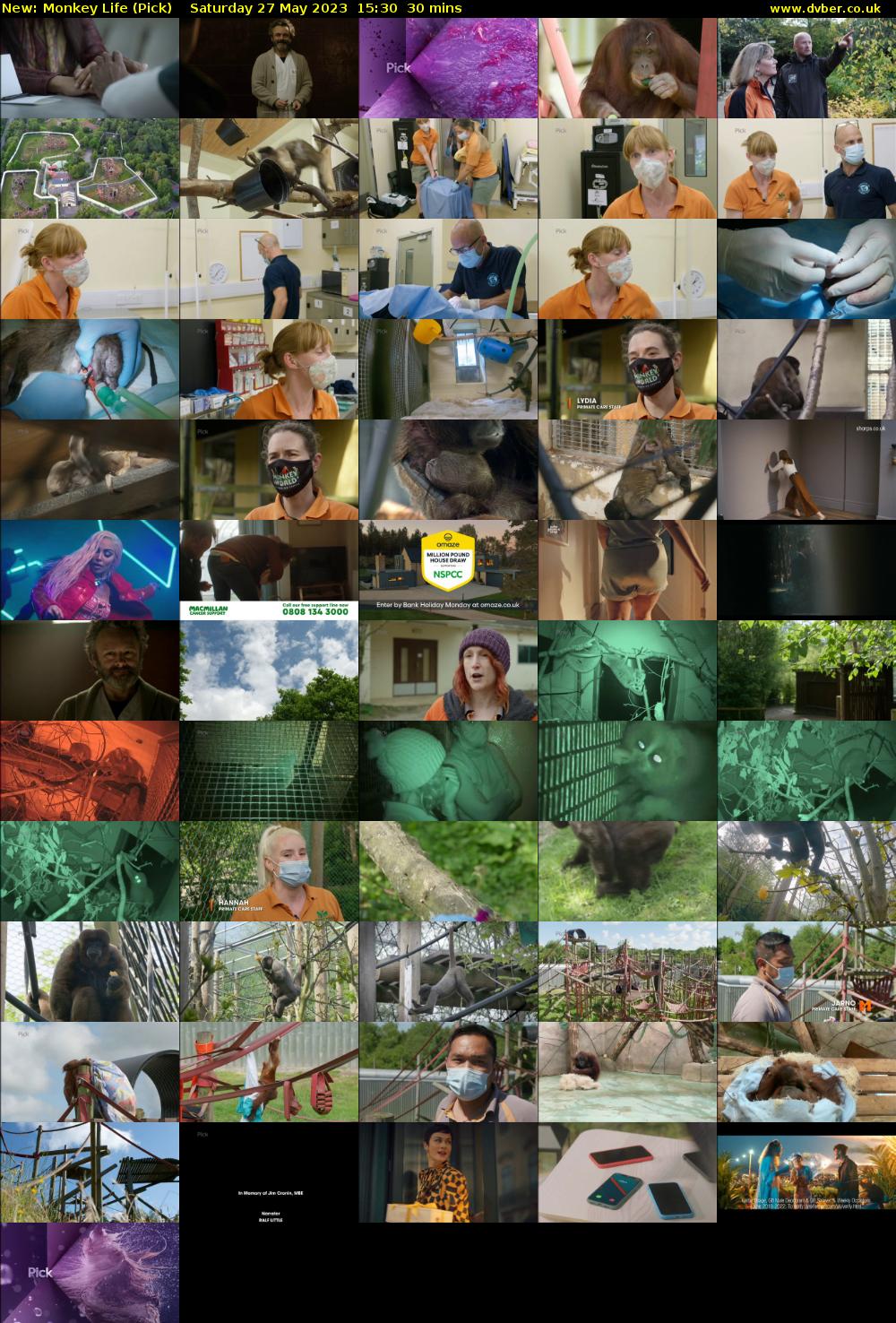 Monkey Life (Pick) Saturday 27 May 2023 15:30 - 16:00