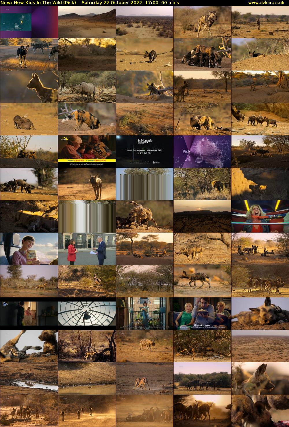 New Kids In The Wild (Pick) Saturday 22 October 2022 17:00 - 18:00
