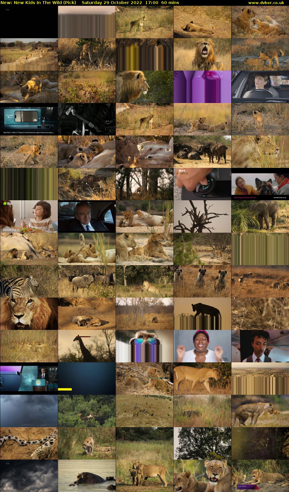 New Kids In The Wild (Pick) Saturday 29 October 2022 17:00 - 18:00