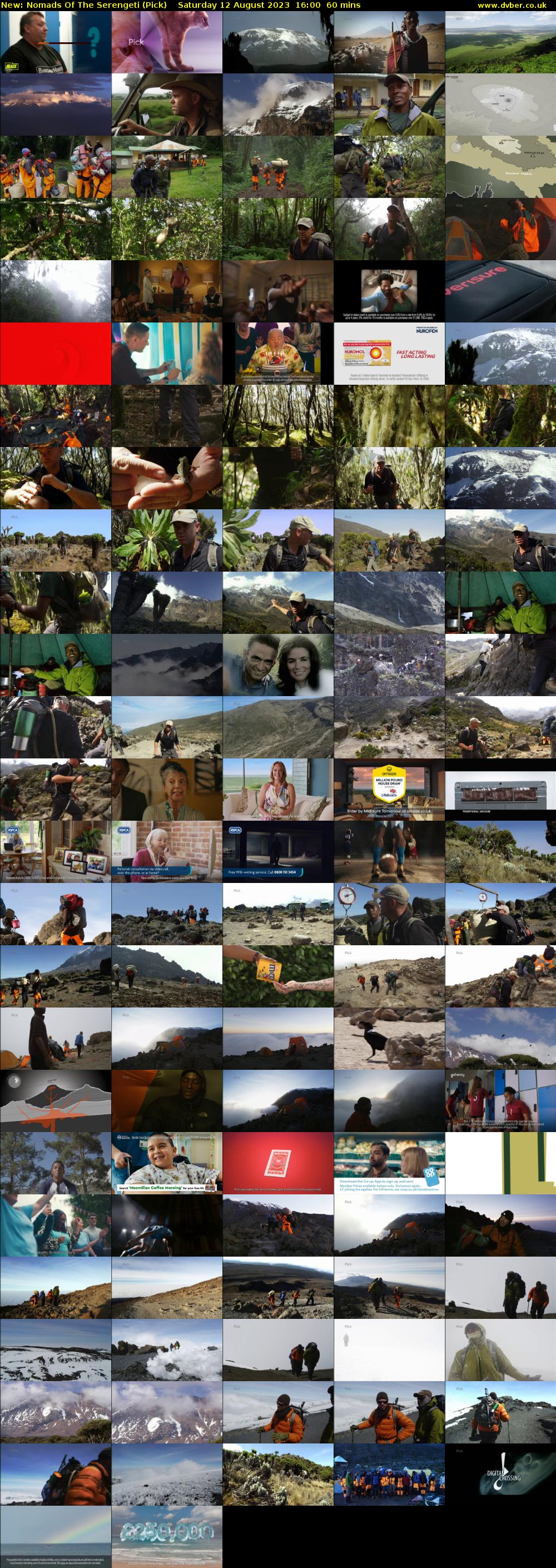 Nomads Of The Serengeti (Pick) Saturday 12 August 2023 16:00 - 17:00