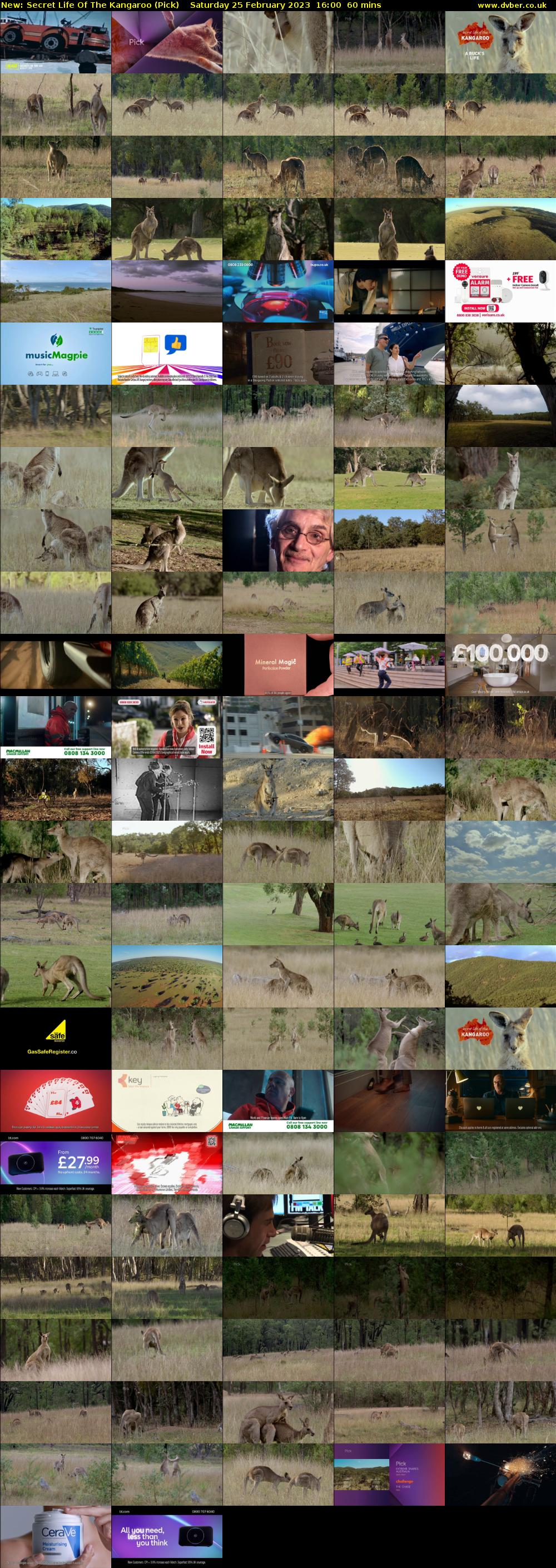 Secret Life Of The Kangaroo (Pick) Saturday 25 February 2023 16:00 - 17:00