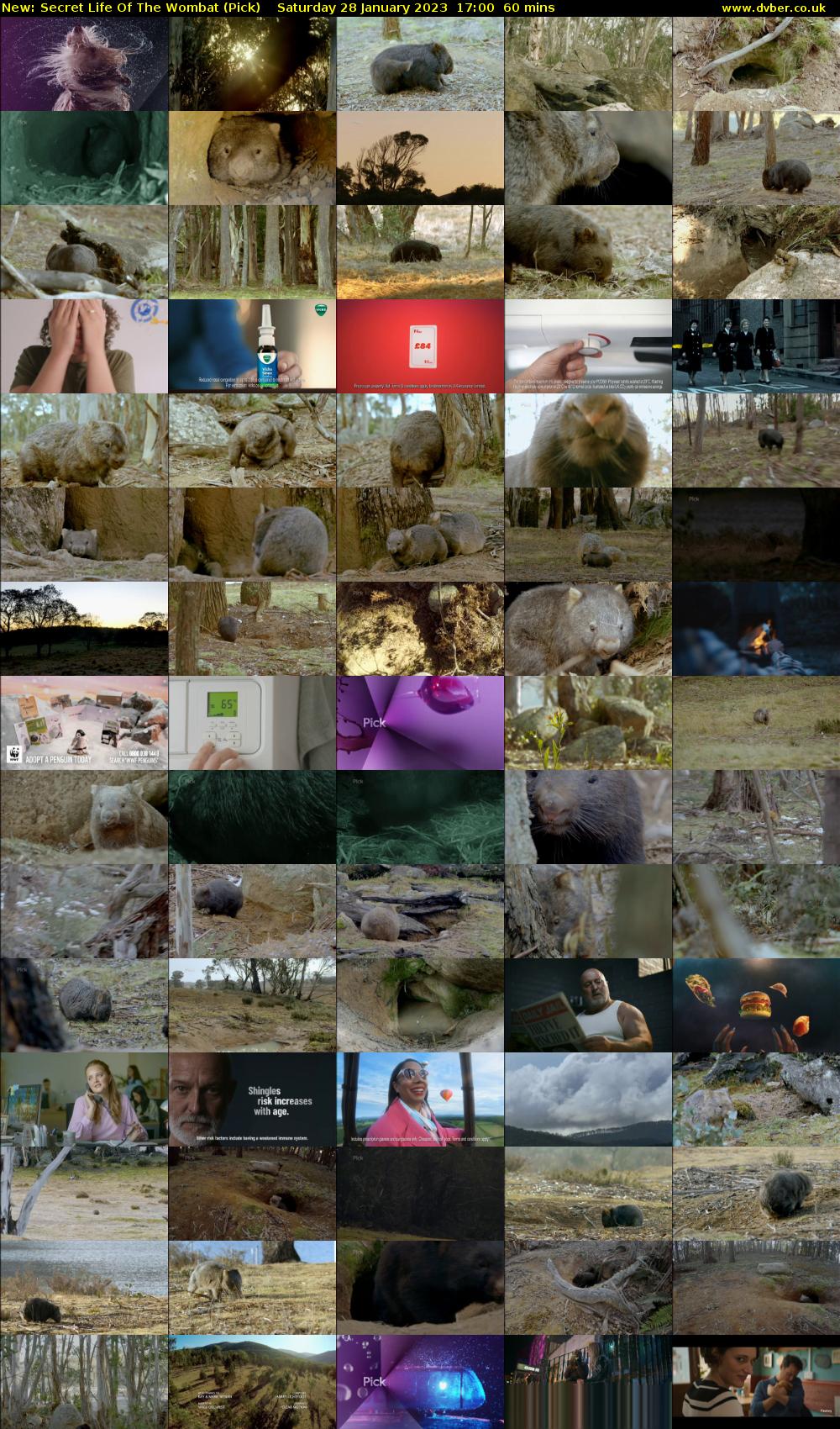 Secret Life Of The Wombat (Pick) Saturday 28 January 2023 17:00 - 18:00