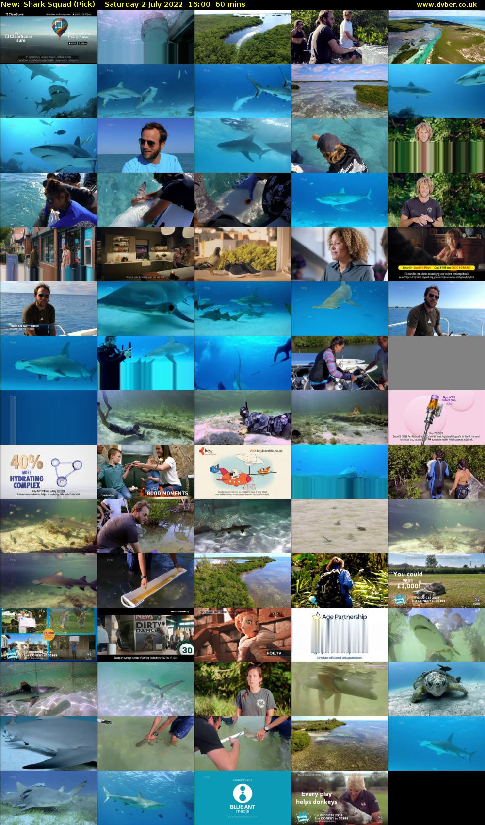 Shark Squad (Pick) Saturday 2 July 2022 16:00 - 17:00