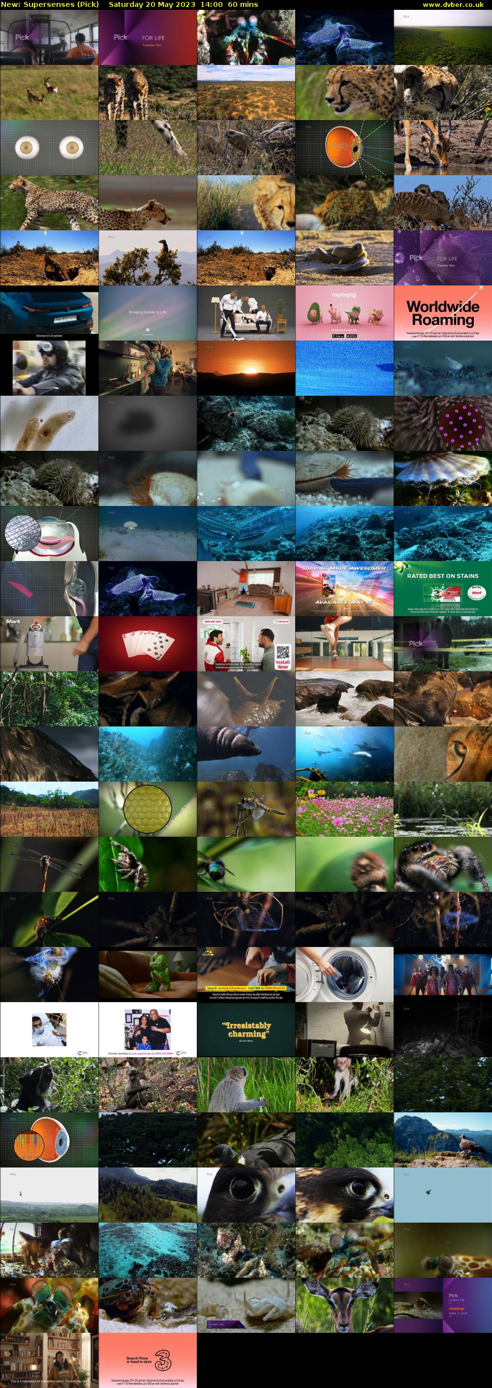 Supersenses (Pick) Saturday 20 May 2023 14:00 - 15:00