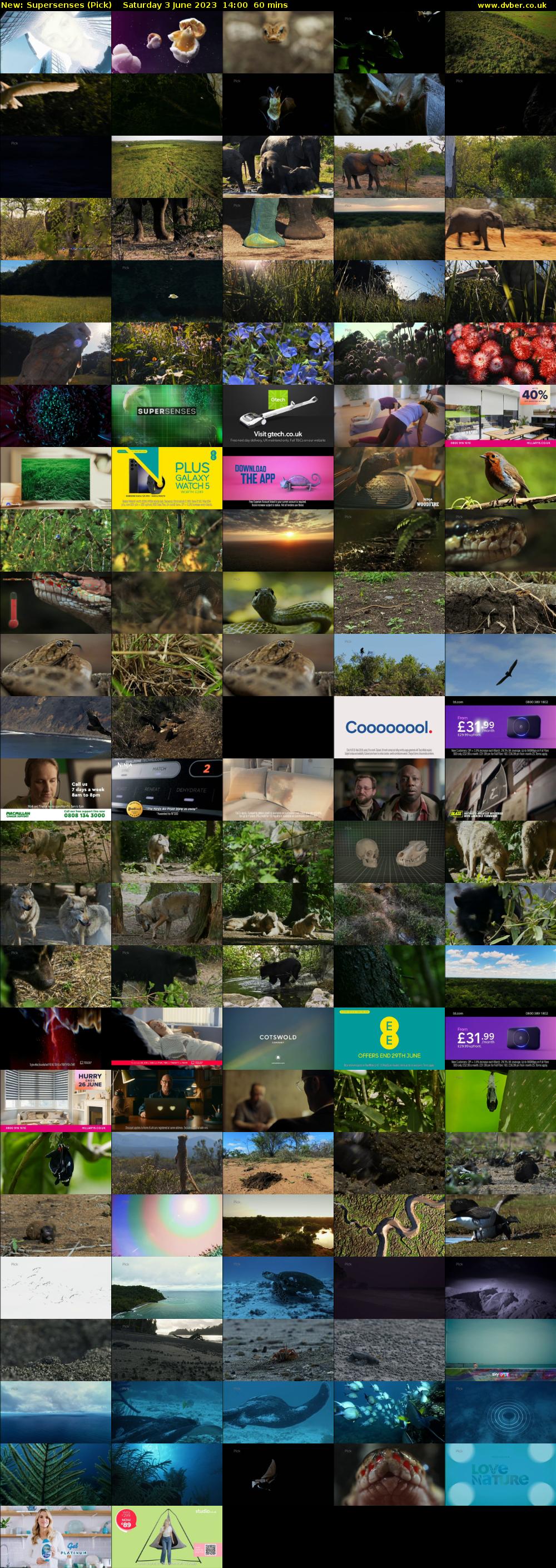 Supersenses (Pick) Saturday 3 June 2023 14:00 - 15:00