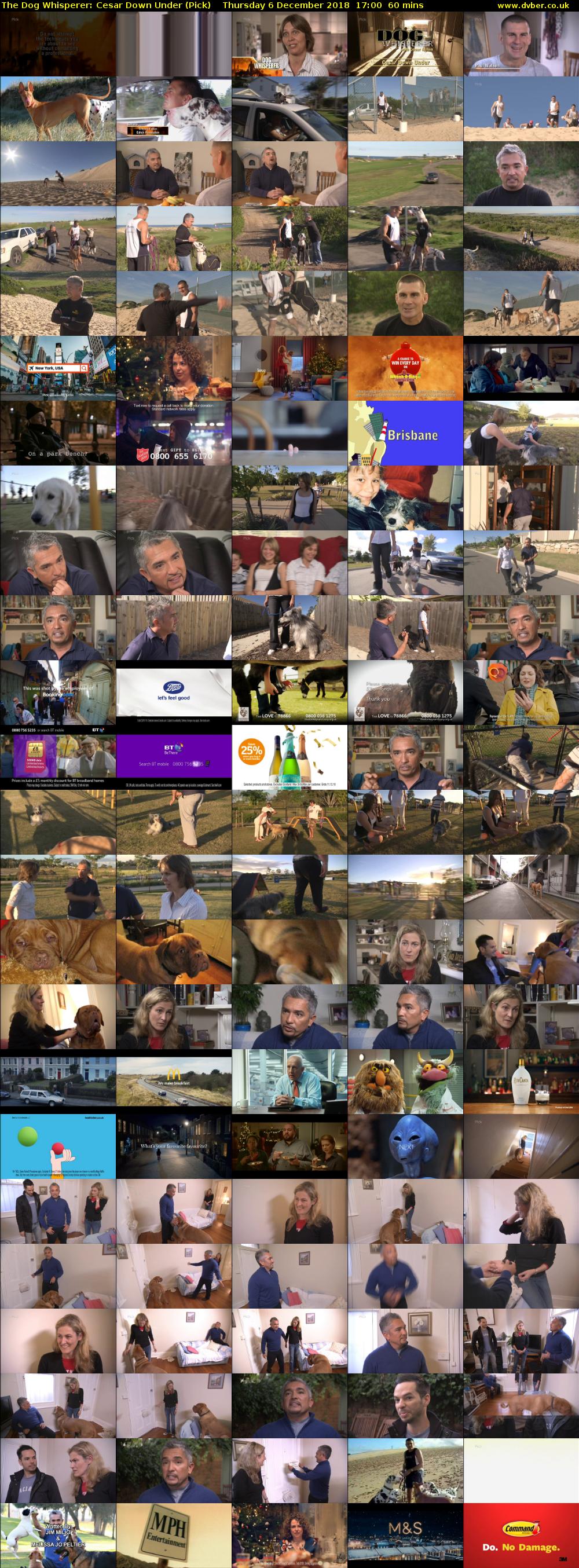 The Dog Whisperer: Cesar Down Under (Pick) Thursday 6 December 2018 17:00 - 18:00
