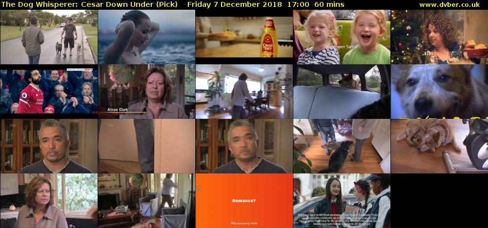 The Dog Whisperer: Cesar Down Under (Pick) Friday 7 December 2018 17:00 - 18:00