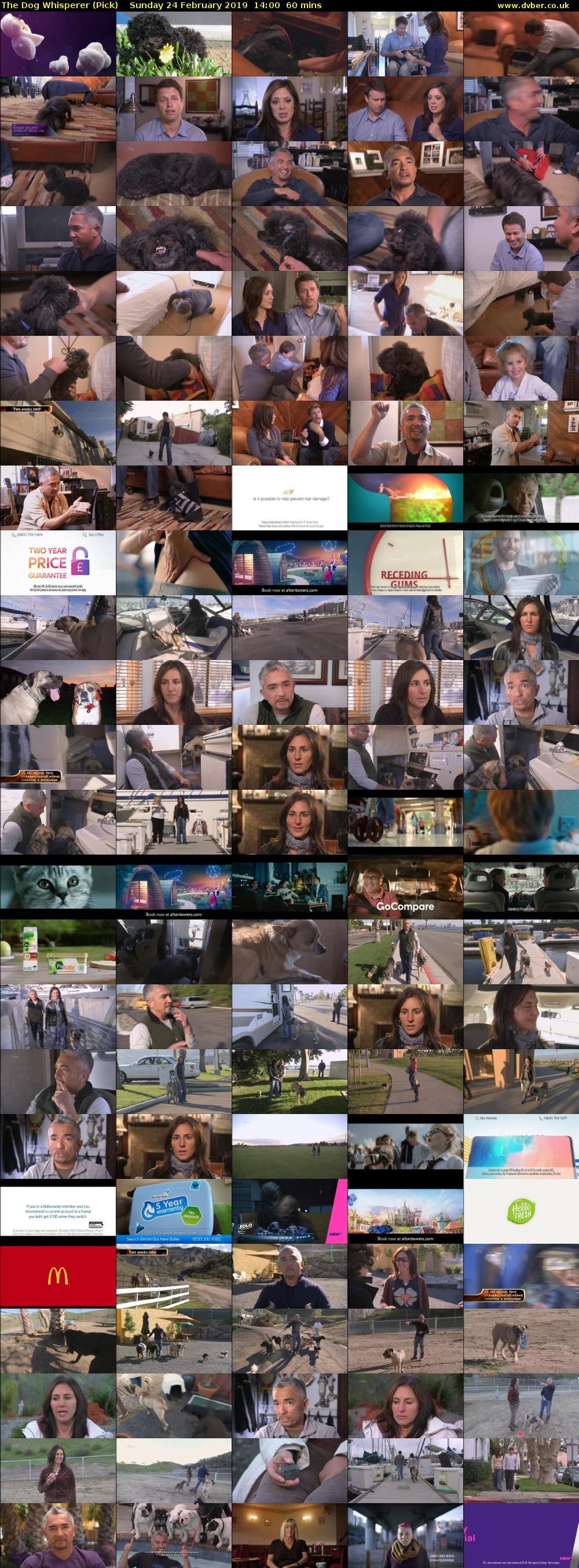 The Dog Whisperer (Pick) Sunday 24 February 2019 14:00 - 15:00