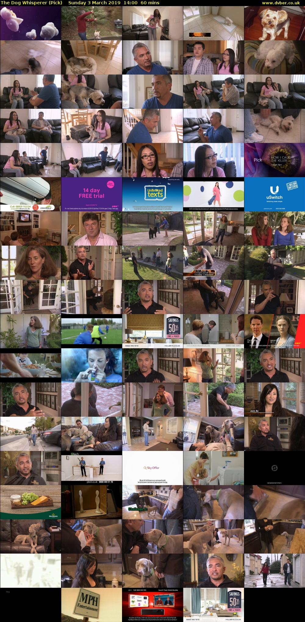 The Dog Whisperer (Pick) Sunday 3 March 2019 14:00 - 15:00