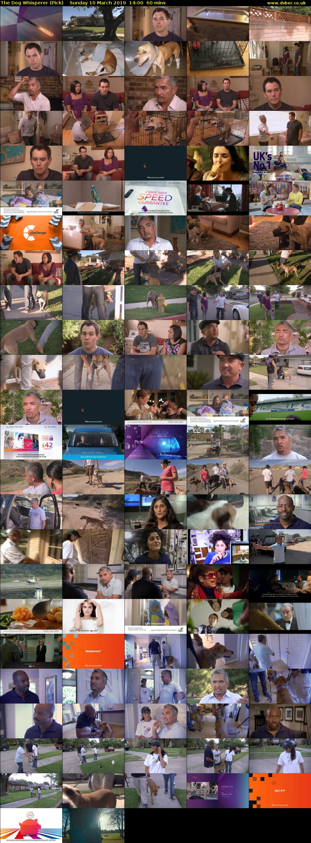 The Dog Whisperer (Pick) Sunday 10 March 2019 14:00 - 15:00