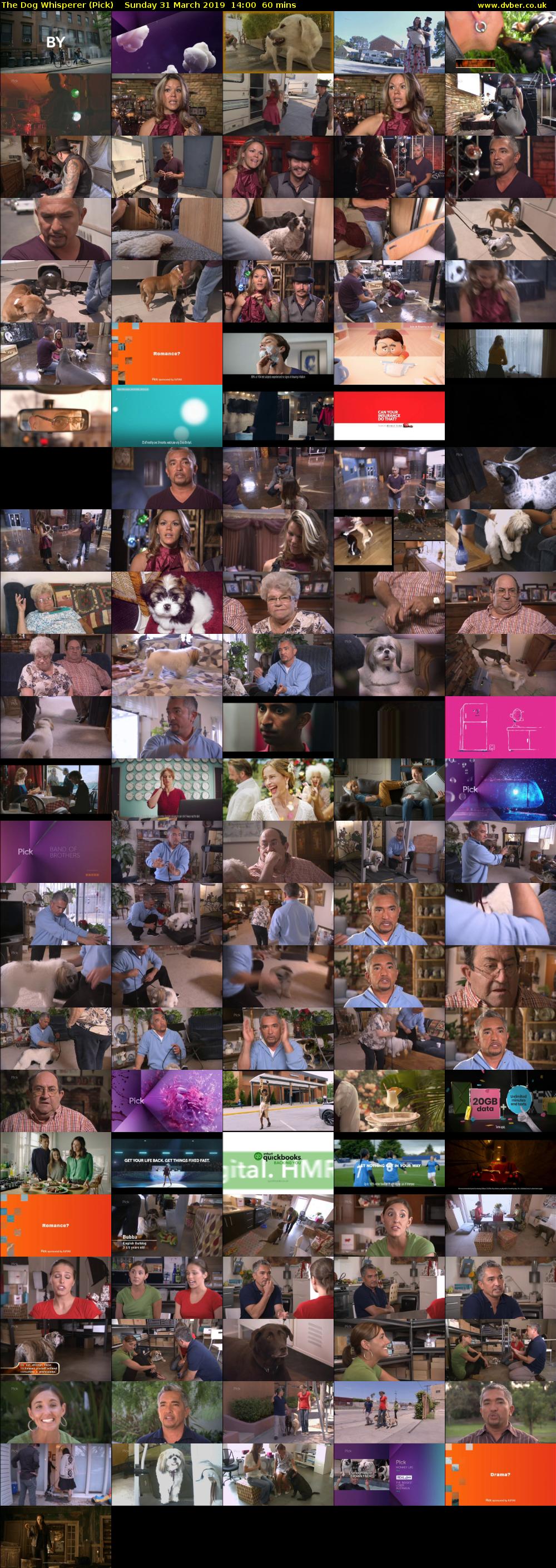 The Dog Whisperer (Pick) Sunday 31 March 2019 14:00 - 15:00