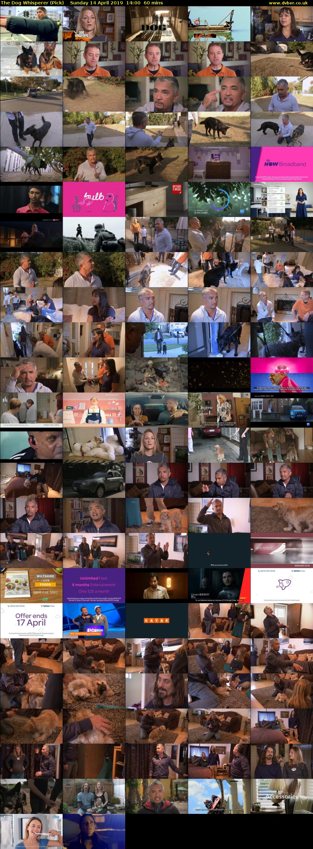 The Dog Whisperer (Pick) Sunday 14 April 2019 14:00 - 15:00