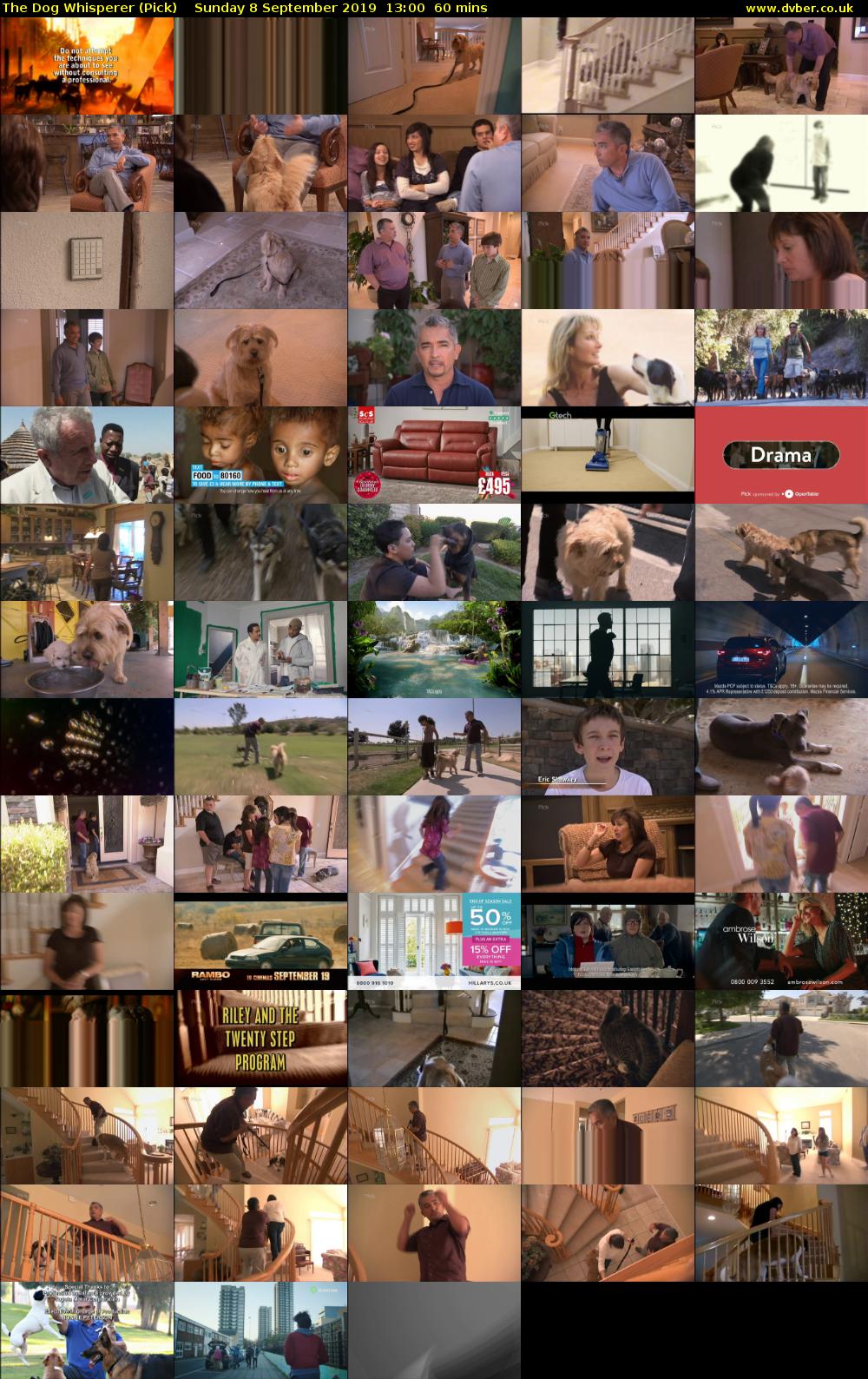 The Dog Whisperer (Pick) Sunday 8 September 2019 13:00 - 14:00
